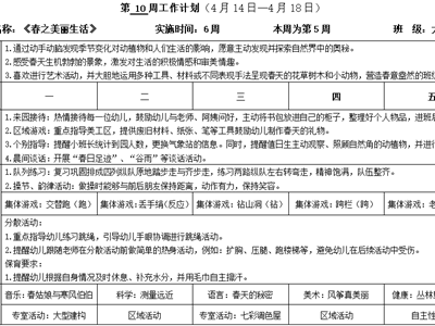 大一班 第十周计划